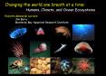 DETERMINING THE EFFECTS OF CO2 OCEAN DISPOSAL ON DEEPSEA ORGANISMS