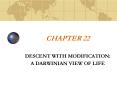DESCENT WITH MODIFICATION:
