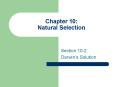 Chapter 10: Natural Selection