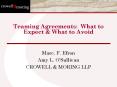 Teaming Agreements: What to Expect