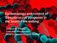 Epidemiology and control of Streptococcus pyogenes in the health care setting