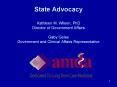 State Advocacy Kathleen M' Wilson, PhD Director of Government Affairs Gaby Geise Government and Clin