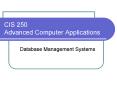 CIS 250 Advanced Computer Applications