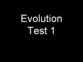 Review Quiz