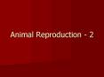 Animal Reproduction 2