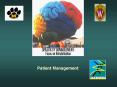 ITB Therapy: Role of the Interdisciplinary Team