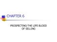 PROSPECTINGTHE LIFE BLOOD OF SELLING