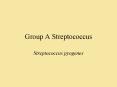 Group A Streptococcus