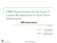 fMRI Characterization for the Study of Cortical Reorganization in Acute Nerve Inflammation