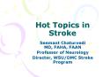 Hot Topics in Stroke