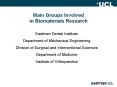 Main Groups Involved in Biomaterials Research