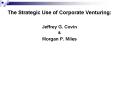The Strategic Use of Corporate Venturing: