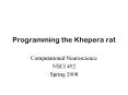 Programming the Khepera rat