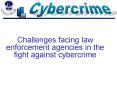 Challenges facing law enforcement agencies in the fight against cybercrime