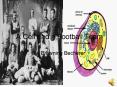 A Cell and a Football Team