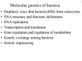 Molecular genetics of bacteria