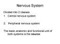 Nervous System