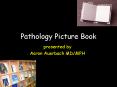 Pathology Picture Book