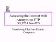 Accessing the Internet with Anonymous FTP WS_FTP