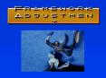 Framework Adjustment