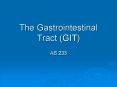 The Gastrointestinal Tract GIT