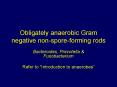 Obligately anaerobic Gram negative nonsporeforming rods