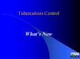 Tuberculosis Control