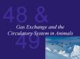 Gas Exchange and the Circulatory System in Animals