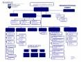 ORGANIZATIONAL CHART