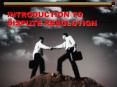 INTRODUCTION TO DISPUTE RESOLUTION