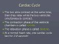 Cardiac Cycle