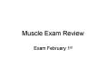 Muscle Exam Review