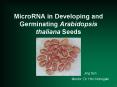 MicroRNA in Developing and Germinating Arabidopsis thaliana Seeds