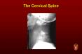 The Cervical Spine