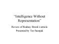 Intelligence Without Representation