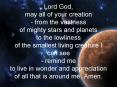 Lord God, may all of your creation from the vastness of mighty stars and planets to the lowliness of