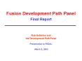 Fusion Development Path Panel Final Report