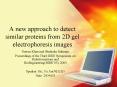 A new approach to detect similar proteins from 2D gel electrophoresis images