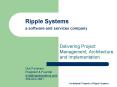 Ripple Systems a software and services company
