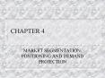 MARKET SEGMENTATION, POSITIONING AND DEMAND PROJECTION