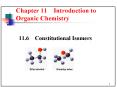 11'6 Constitutional Isomers