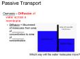 Passive Transport
