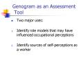 Genogram as an Assessment Tool