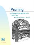 Pruning