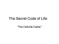 The Secret Code of Life: