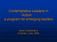 Contemplative Leaders in Action a program for emerging leaders Jesuit Collaborative Fordham, June, 2