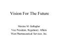 Vision For The Future