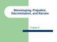 Stereotyping, Prejudice, Discrimination, and Racism