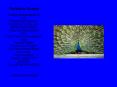 The Way to Divinity If anyone speaks ill of you, Praise them always. If anyone injures you, Serve th
