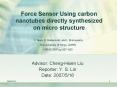 Force Sensor Using carbon nanotubes directly synthesized on micro structure